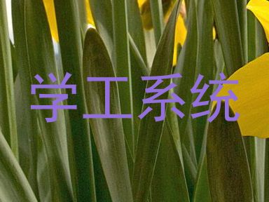 学工系统