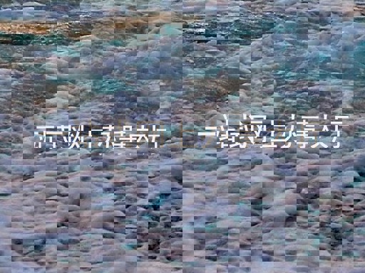 一站式网上办事大厅