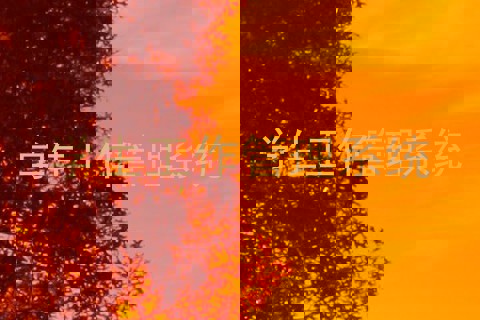 学生工作管理系统