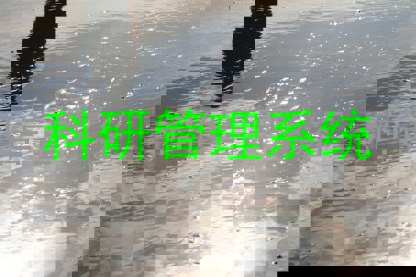 科研管理系统