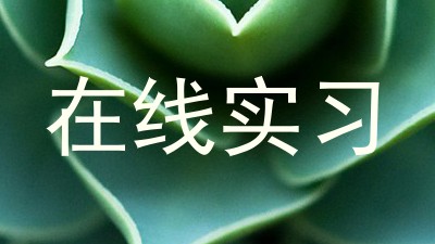 在线实习