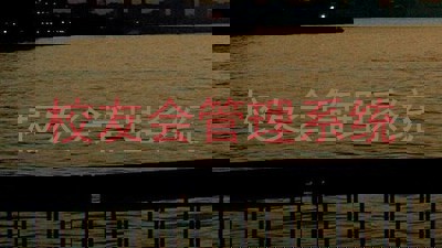 校友会管理系统