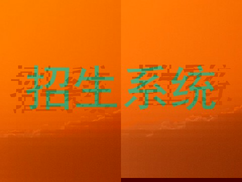 招生系统