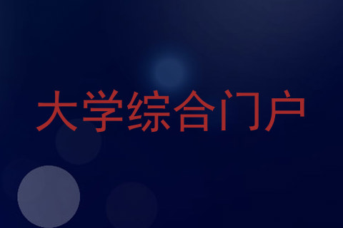 大学综合门户