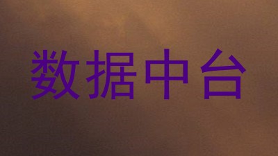 数据中台
