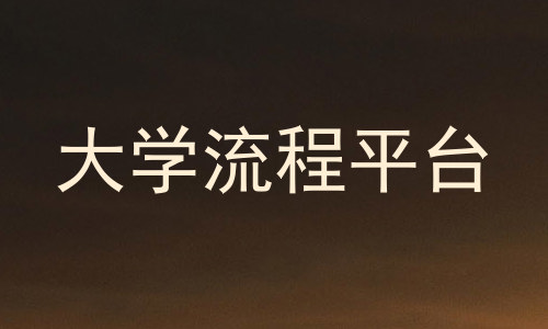 大学流程平台