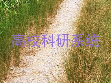 高校科研系统