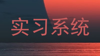 实习系统