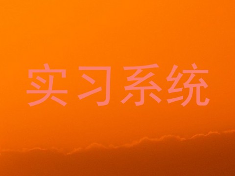 实习系统