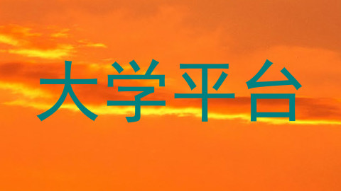 大学平台