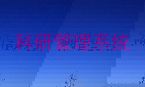 科研管理系统