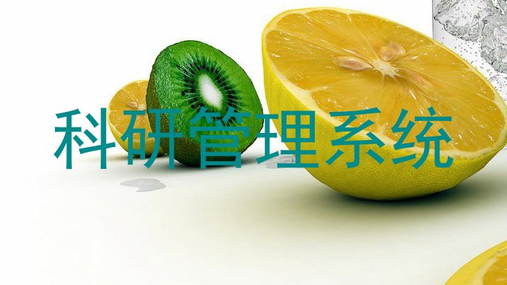 科研管理系统