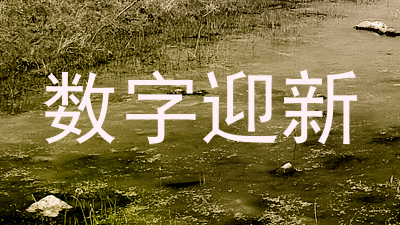 数字迎新