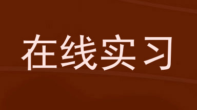 在线实习