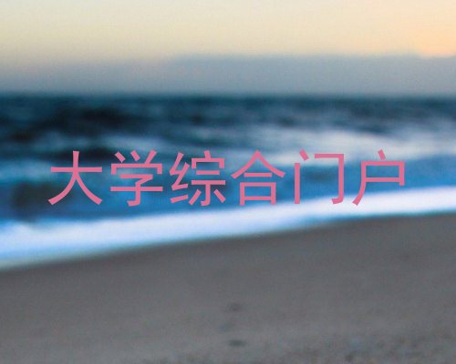大学综合门户