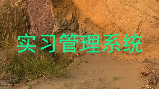 实习管理系统