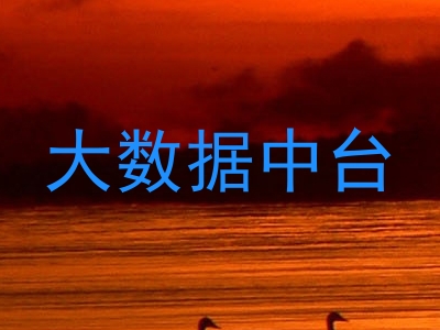 大数据中台