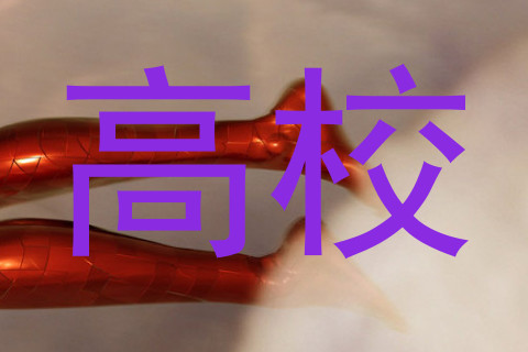 高校