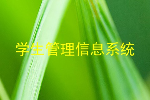 学生管理信息系统