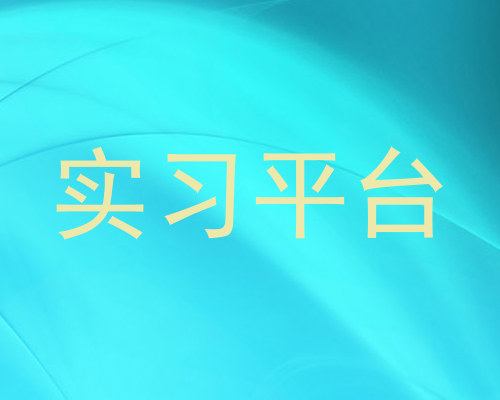 实习平台