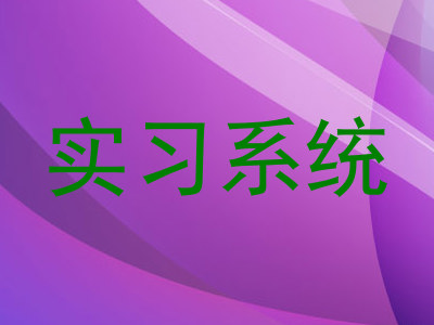 实习系统