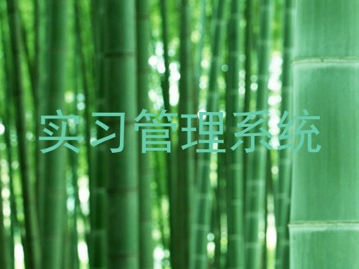 实习管理系统
