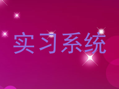 实习系统