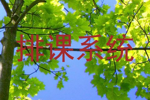 排课系统
