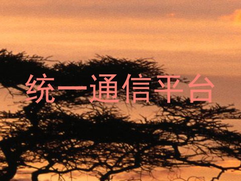 统一通信平台