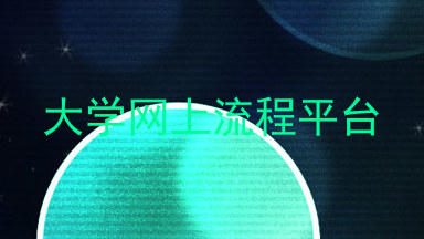 大学网上流程平台