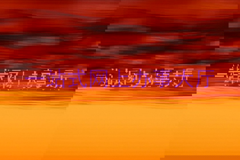 一站式网上办事大厅