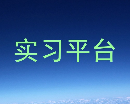 实习平台