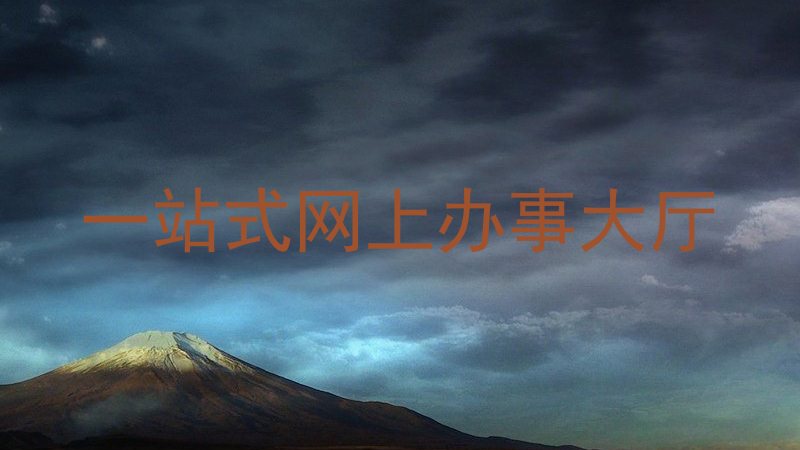 一站式网上办事大厅