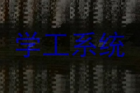 学工系统