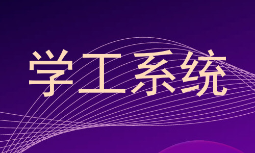 学工系统