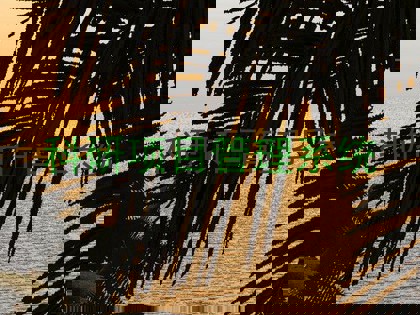 科研项目管理系统