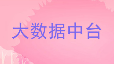 大数据中台
