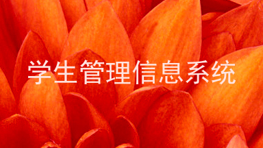 学生管理信息系统