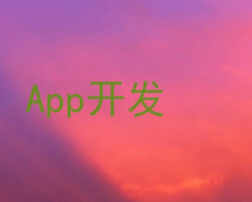 App开发