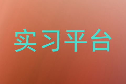 实习平台