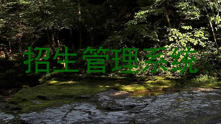 招生管理系统