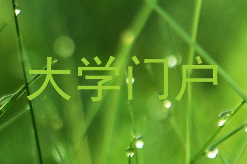 大学门户