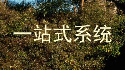 一站式系统