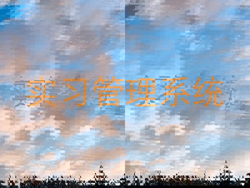 实习管理系统