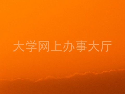 大学网上办事大厅