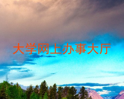 大学网上办事大厅