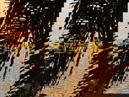 学生管理信息系统