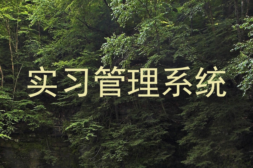 实习管理系统