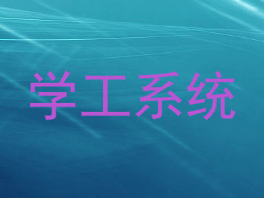 学工系统