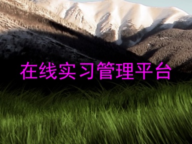 在线实习管理平台